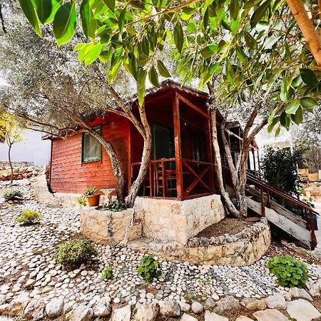Ata Bungalow Bed and Breakfast Kaş Eksteriør billede