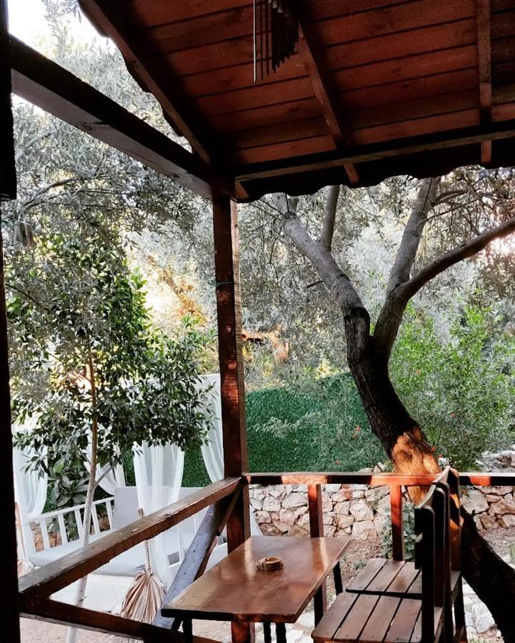 Ata Bungalow Bed and Breakfast Kaş Eksteriør billede