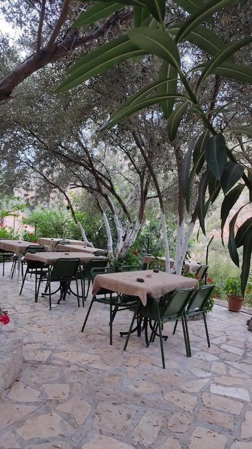Ata Bungalow Bed and Breakfast Kaş Eksteriør billede
