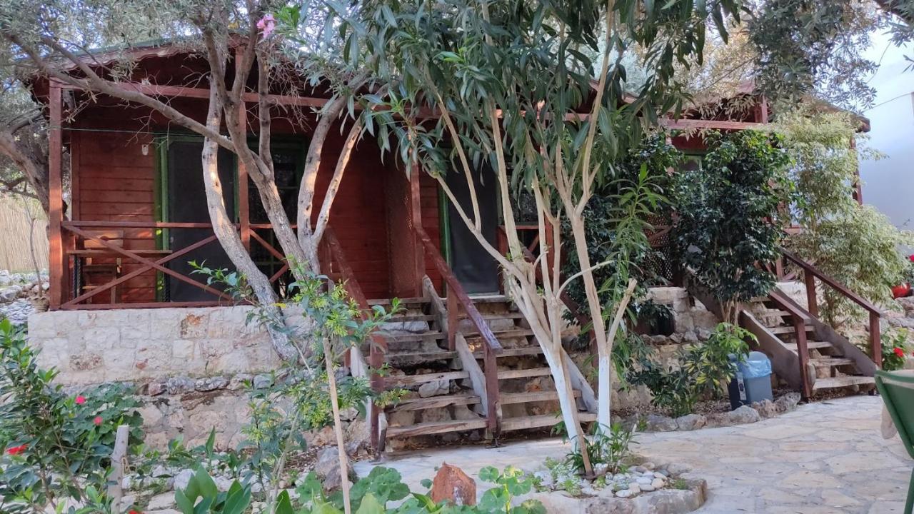 Ata Bungalow Bed and Breakfast Kaş Eksteriør billede